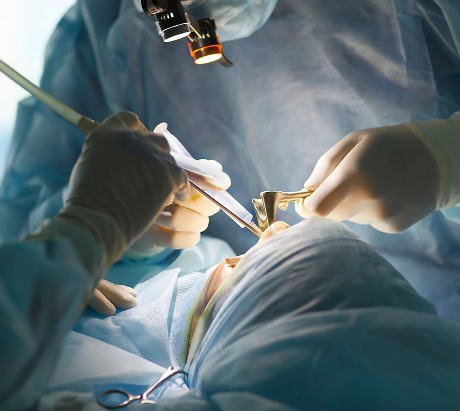 a dental surgeon during a surgery